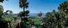Amathus Beach Hotel 
